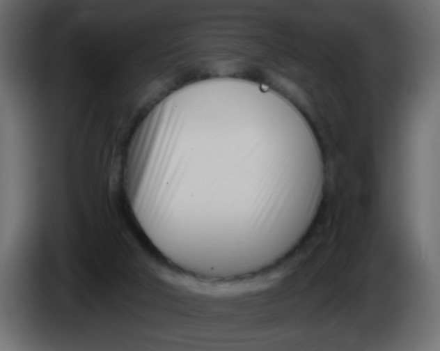 X0000086070018200704132050