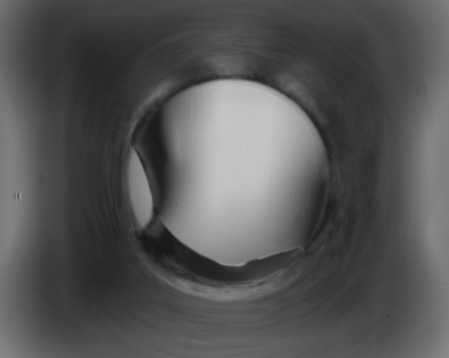 X0000086070019200704132050