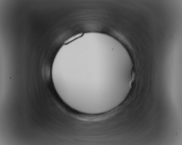 X0000086070021200704132050