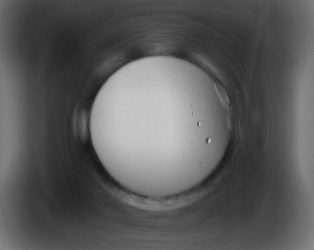 X0000086070022200704132050