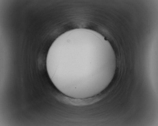 X0000086070030200704132050