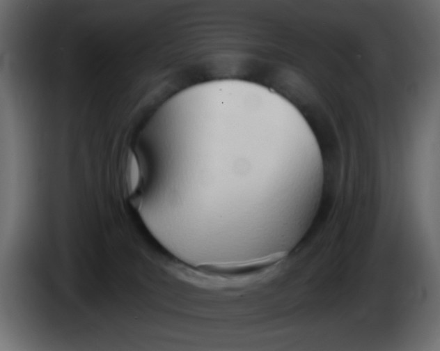 X0000086070035200704132050