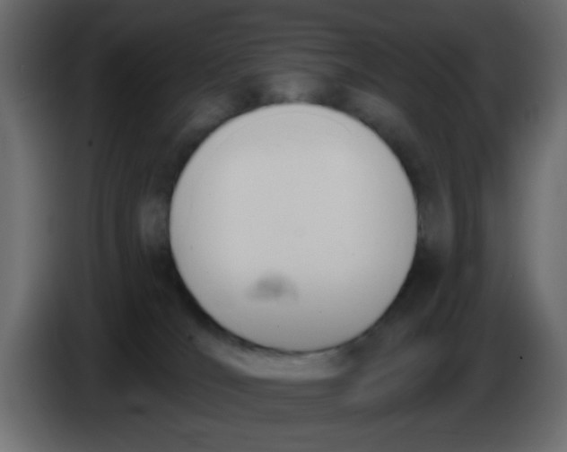 X0000086070036200704132050