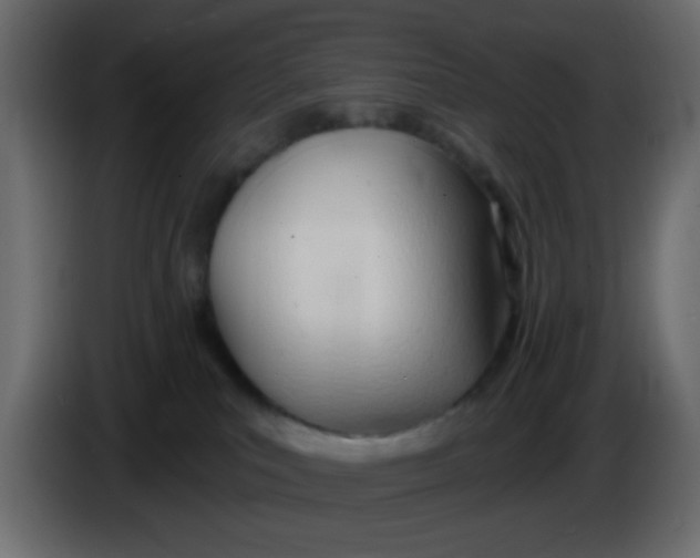 X0000086070039200704132050