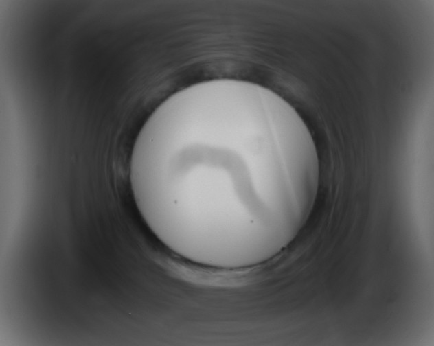 X0000086070040200704132050