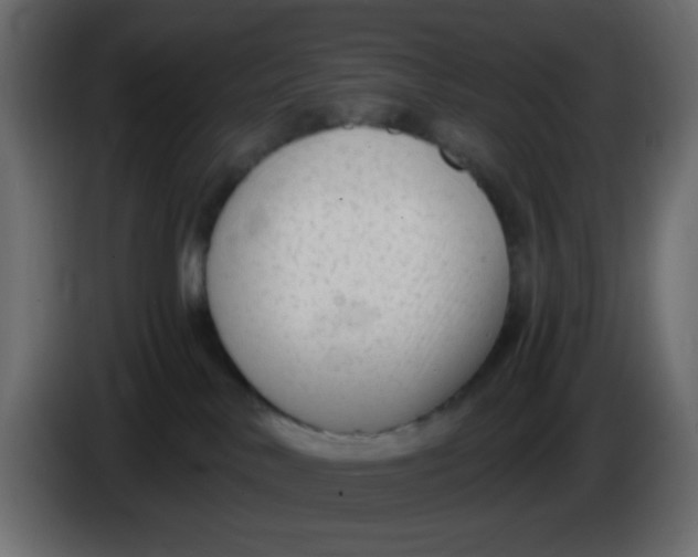 X0000086070042200704132050