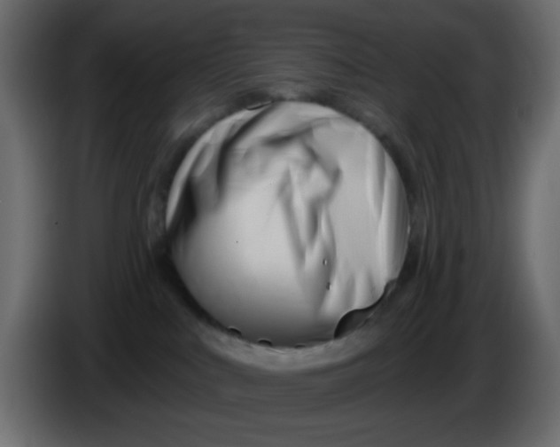 X0000086070043200704132050