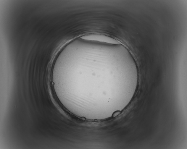 X0000086070049200704132049