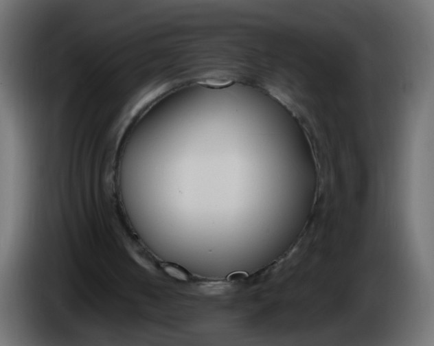 X0000086070050200704132049