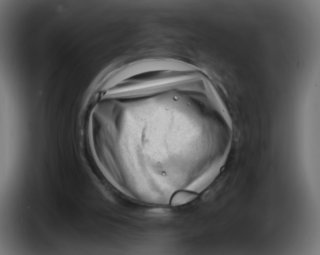 X0000086070053200704132049