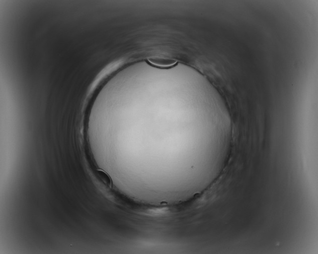 X0000086070054200704132049