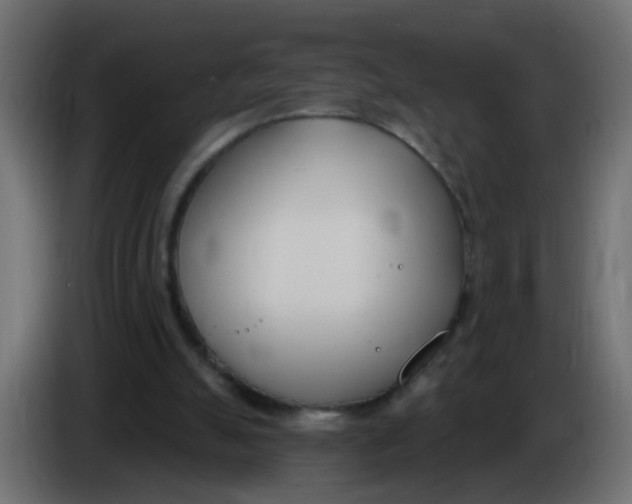 X0000086070055200704132049