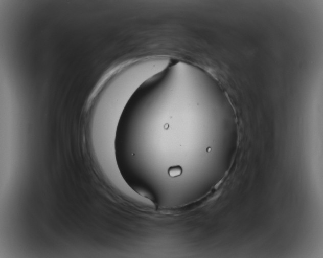 X0000086070056200704132049