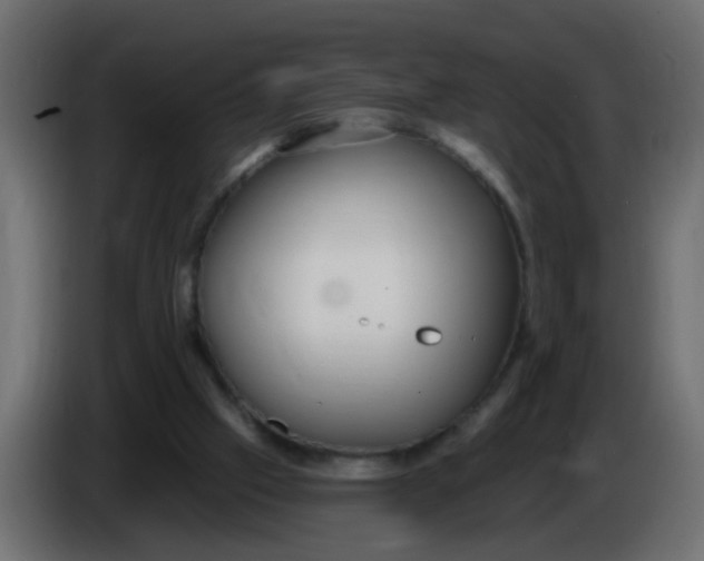 X0000086070057200704132049