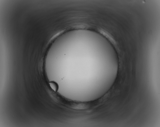 X0000086070058200704132049