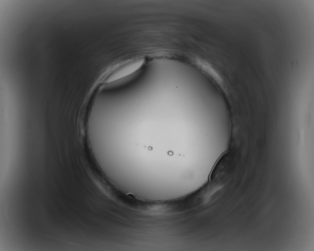 X0000086070059200704132049