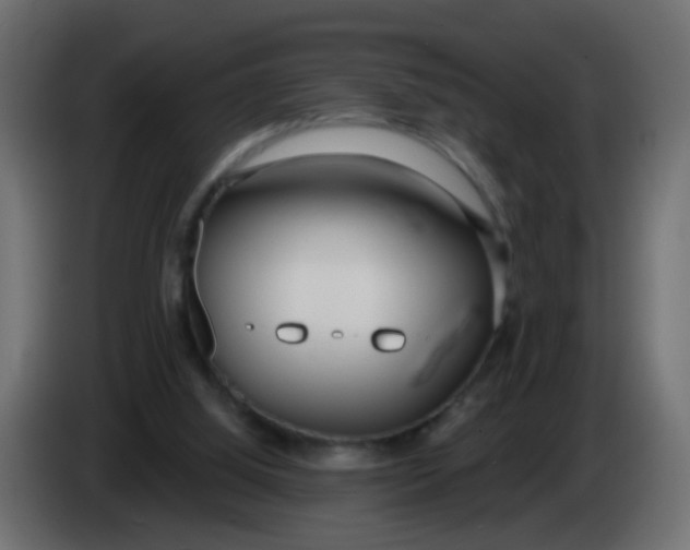 X0000086070060200704132049