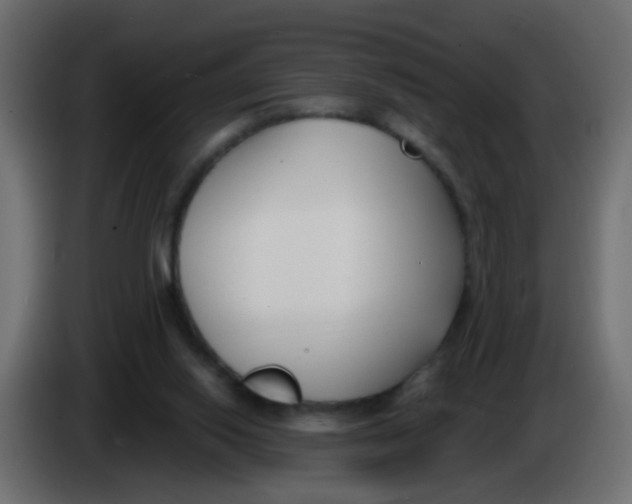 X0000086070062200704132049