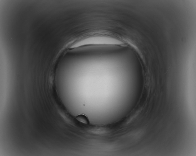 X0000086070063200704132049