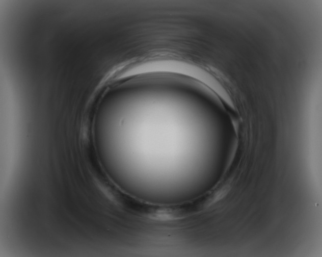 X0000086070064200704132049