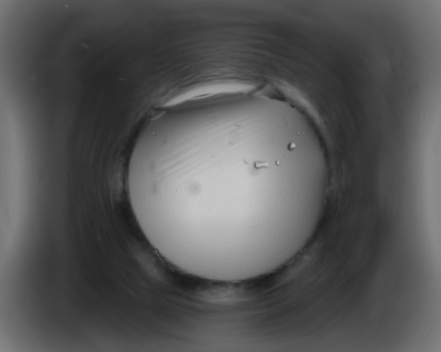 X0000086070065200704132049