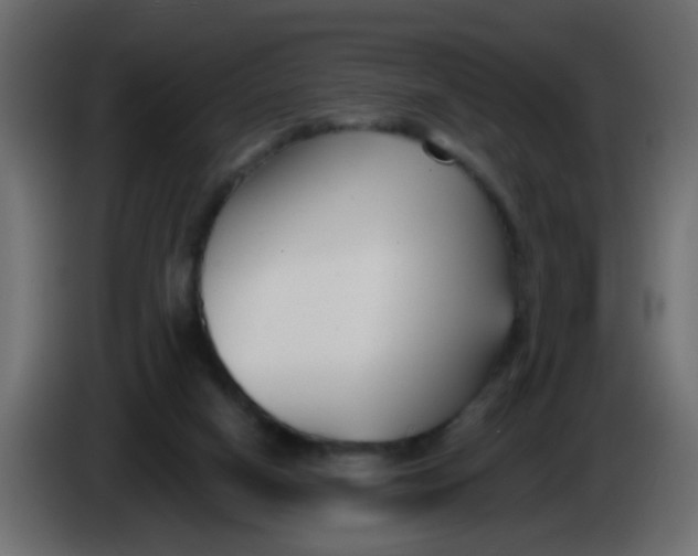 X0000086070066200704132049