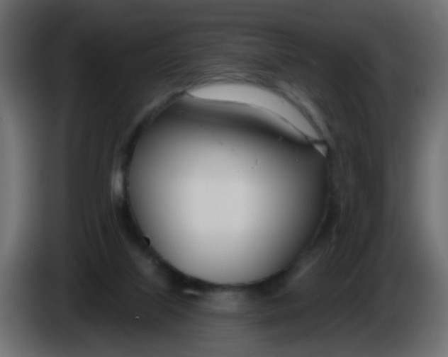 X0000086070067200704132049