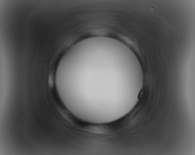 X0000086070069200704132049