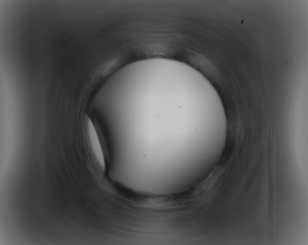 X0000086070070200704132049