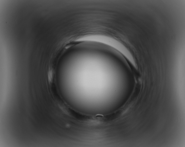 X0000086070076200704132049