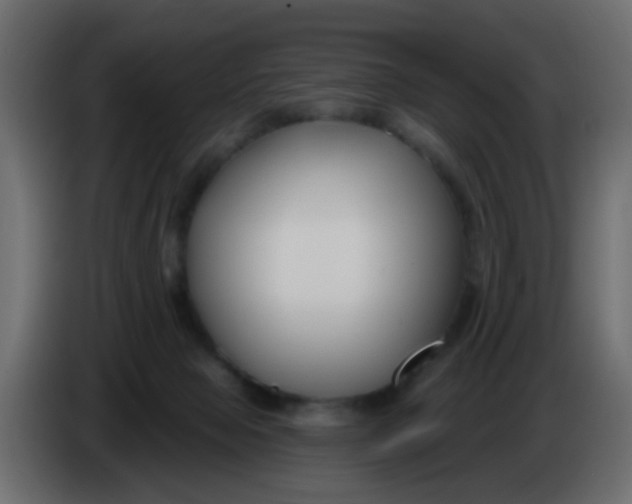 X0000086070077200704132049