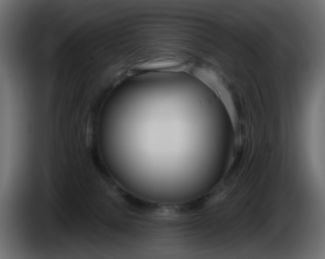 X0000086070080200704132049