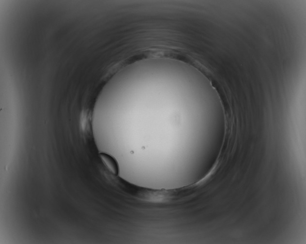 X0000086070094200704132050