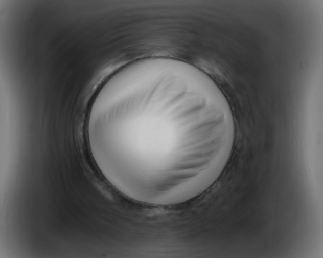 X0000086070098200704132049