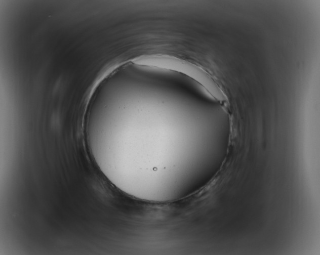 X0000086070099200704132049