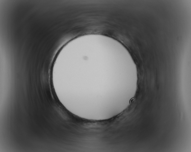 X0000086070100200704132049