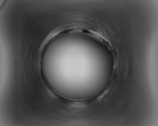 X0000086070101200704132049