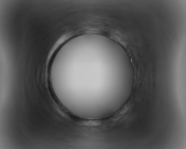 X0000086070102200704132049