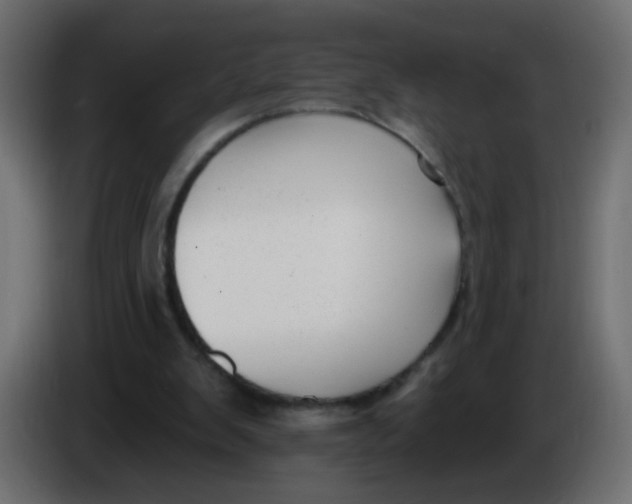 X0000086070103200704132049