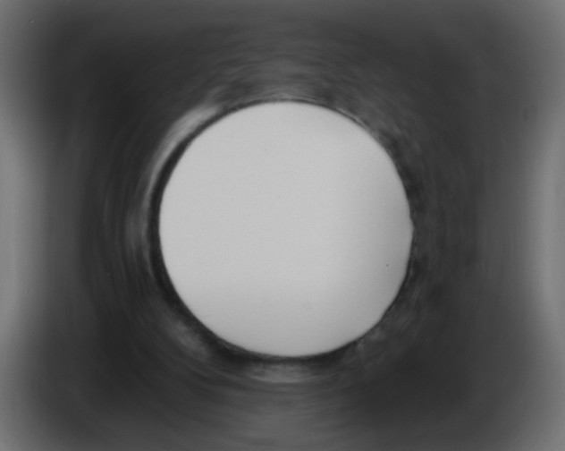 X0000086070104200704132049