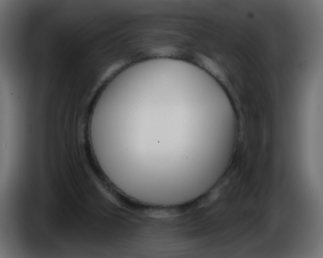 X0000086070106200704132049