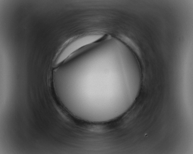 X0000086070107200704132049