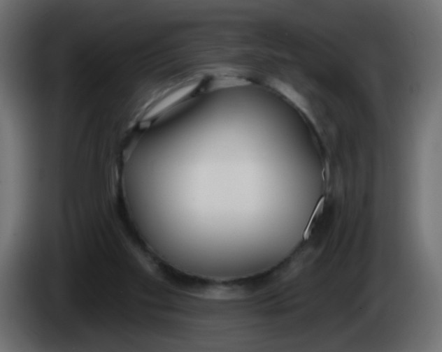 X0000086070109200704132049