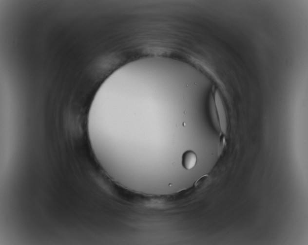 X0000086070114200704132049