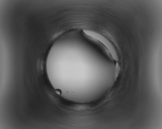 X0000086070115200704132049