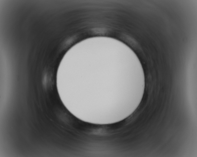 X0000086070116200704132049