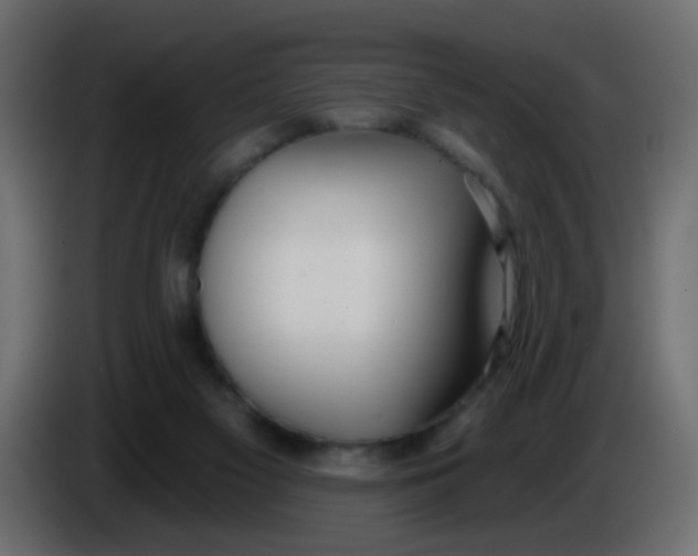 X0000086070117200704132049