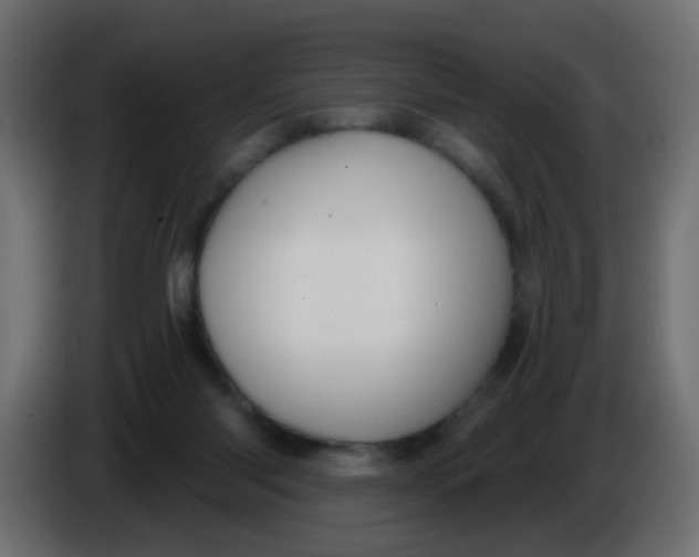 X0000086070118200704132049