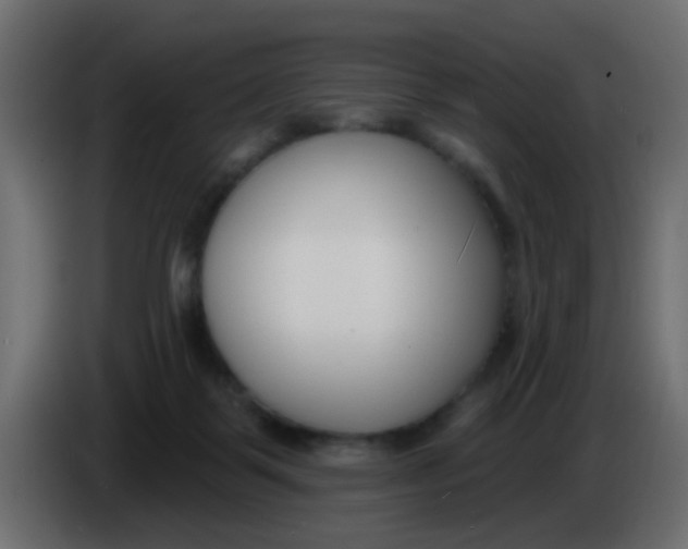 X0000086070123200704132049