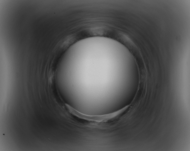 X0000086070125200704132049